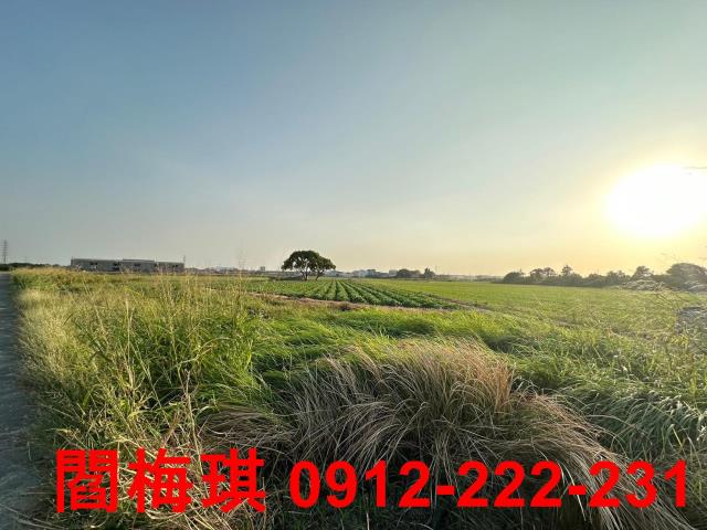 台南新市農地-9