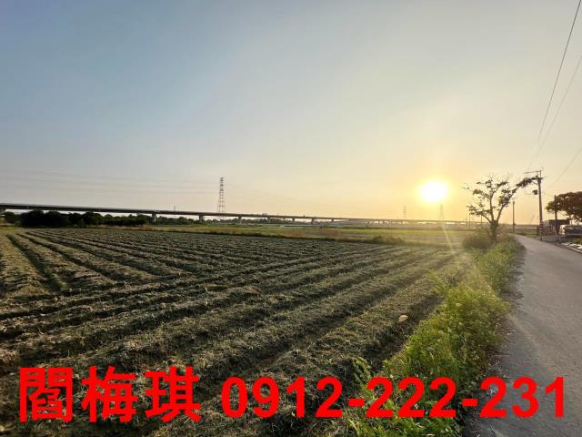 新市農地-3
