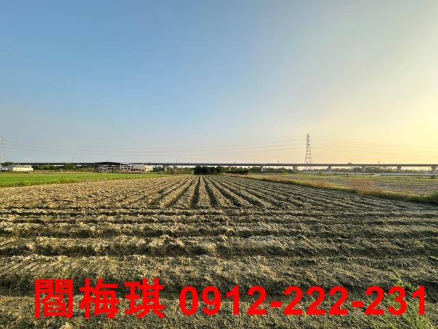 新市農地-4