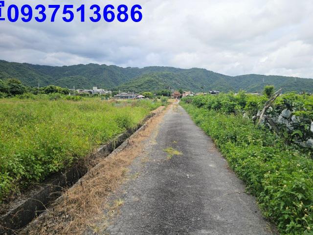 員山農地-6