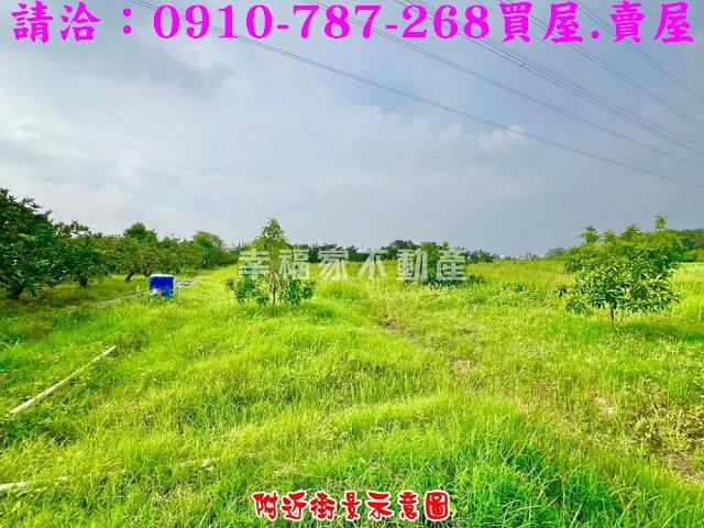 台南農地-9