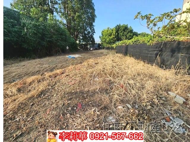 台南六甲建地-4