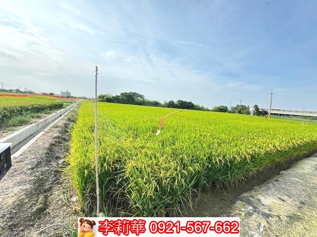 台南六甲農地-10