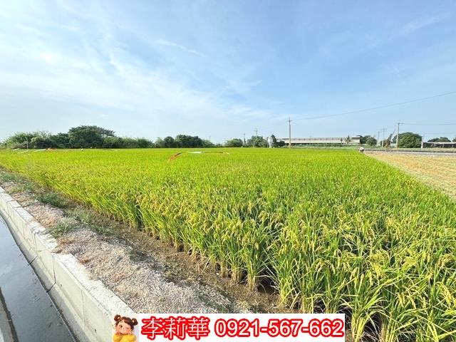 台南六甲農地-11