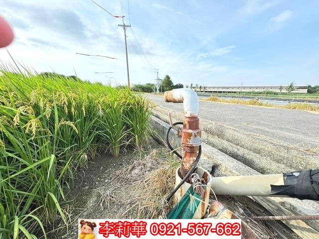 台南六甲農地-12