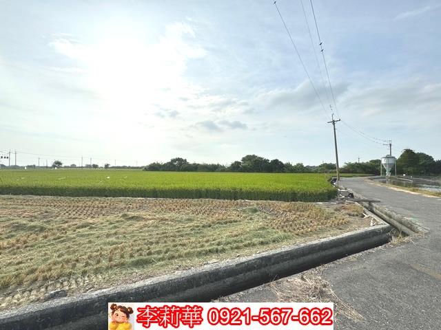 台南六甲農地-3