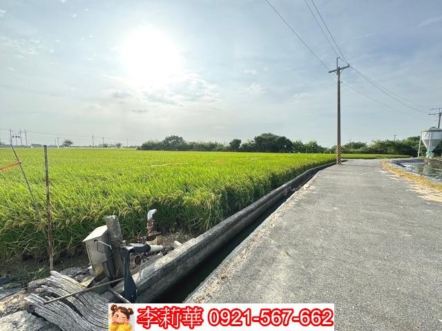 台南六甲農地-5