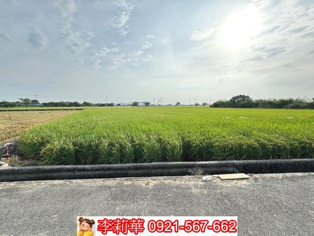 台南六甲農地-6