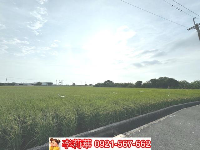 台南六甲農地-7