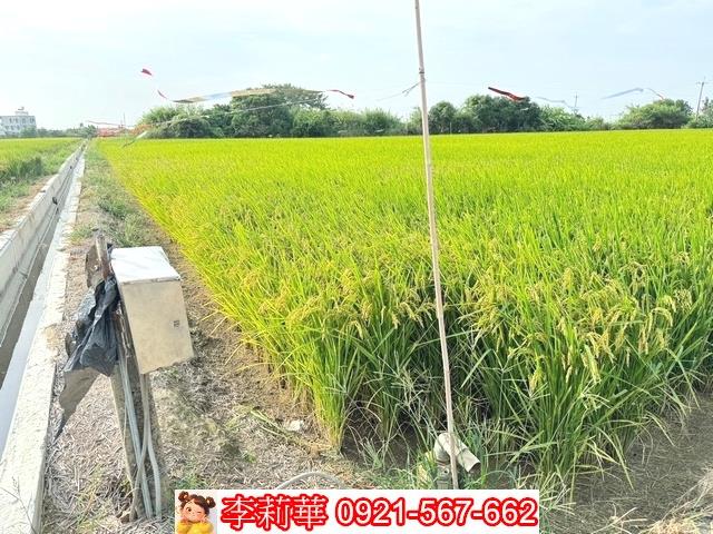 台南六甲農地-8