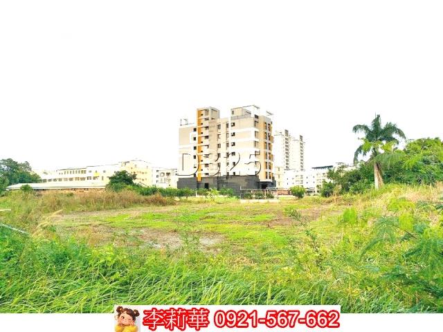 新市農地-2