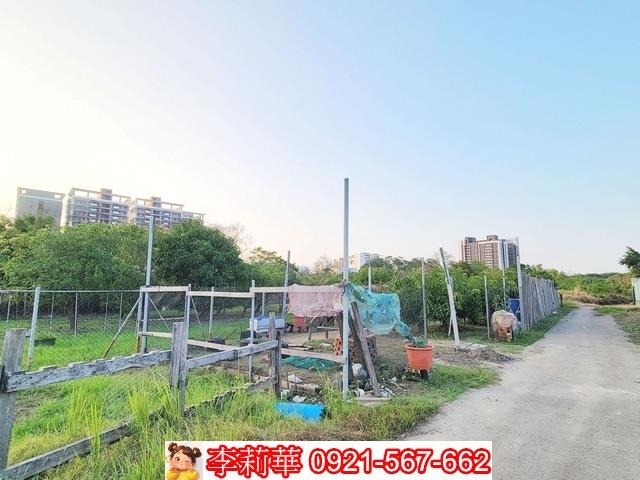南區農地-5