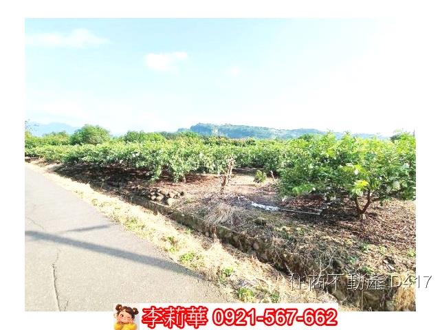 玉井農地-11