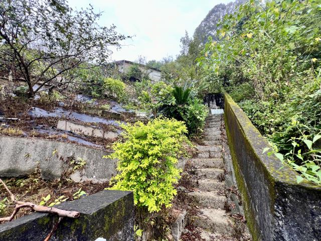 中寮山坡地-11
