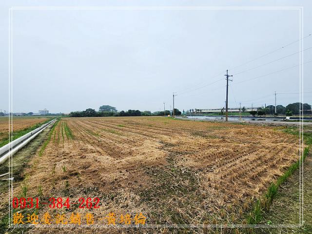 六甲林鳳營段優質農地