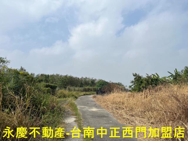 佳里農地-10