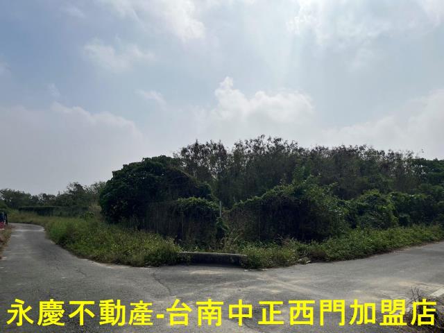 佳里農地-3
