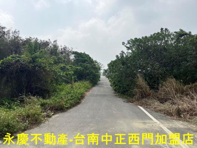 佳里農地-4