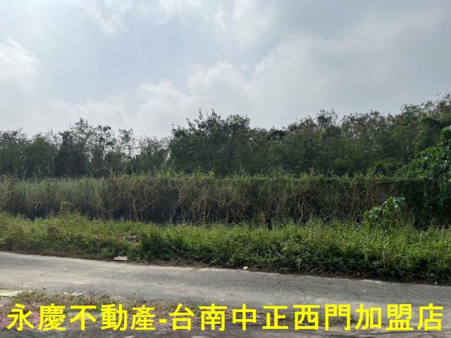佳里農地-6