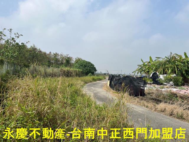 佳里農地-9