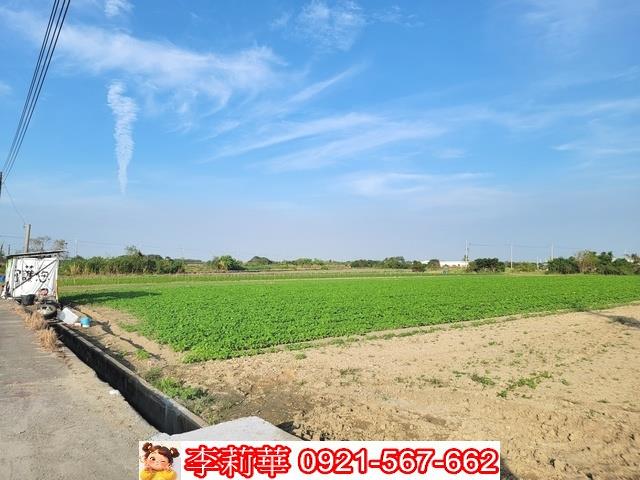 安定農地-10