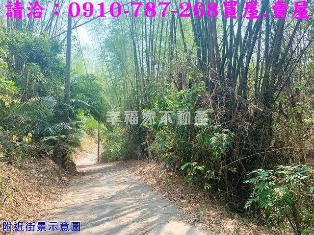 台南農地-10