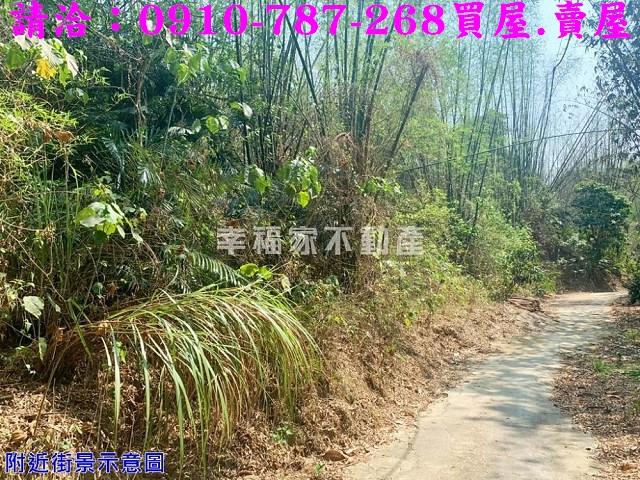 台南農地-12