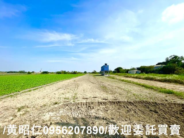 台南安定農地-5