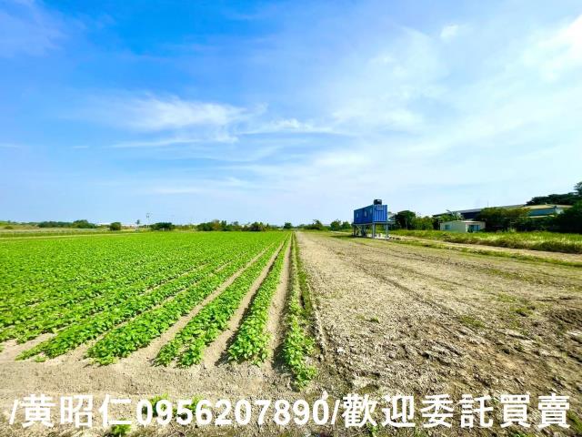 台南安定農地-8