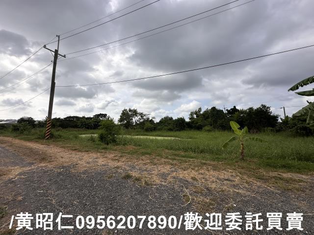 新市農地-5