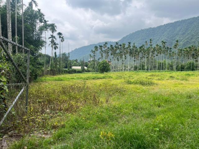 南投農地-8