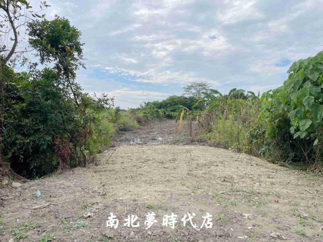 台南大內農地-5