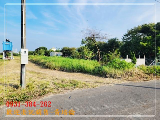 591黃培倫
