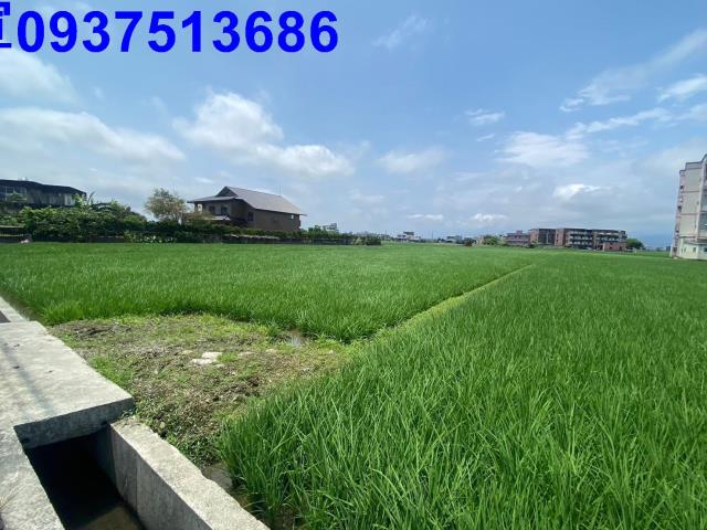 宜蘭壯圍農地-1