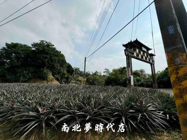 台南龍崎農地-4