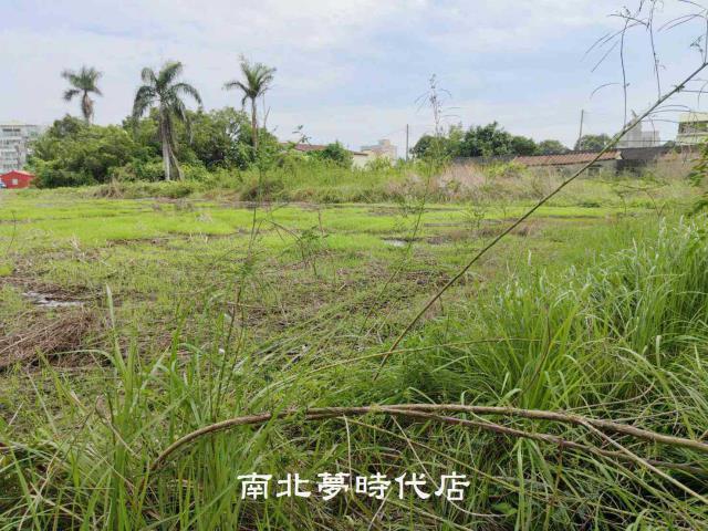 新市農地-11