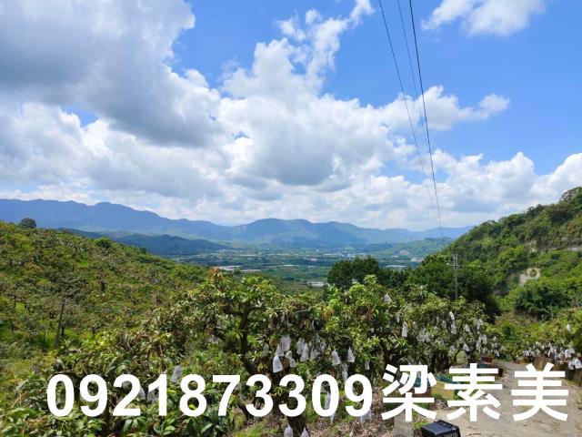 玉井農地-12