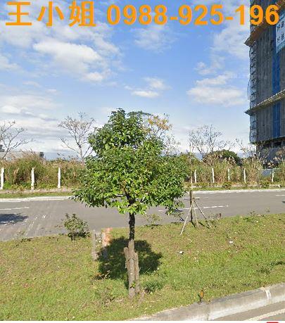 桃園建地-2