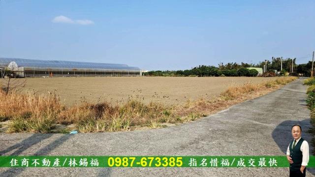 台南佳里農地-13