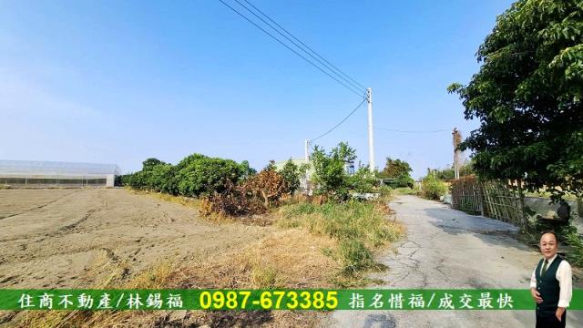 台南佳里農地-8