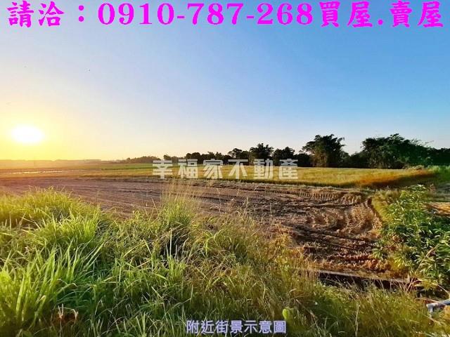 官田農地-3