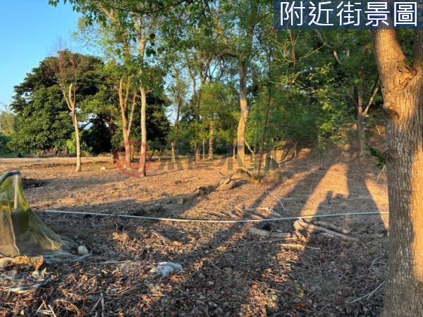 台南農地-3