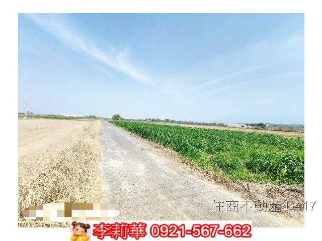 台南東山農地-5