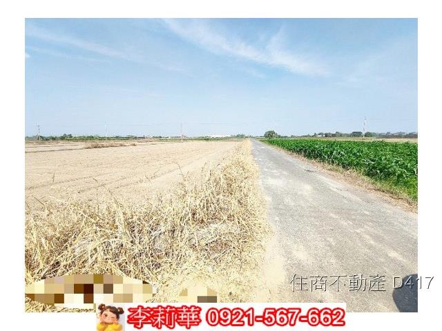 台南東山農地-6