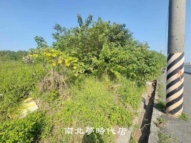 台南南區農地-5