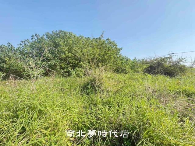 台南南區農地-9