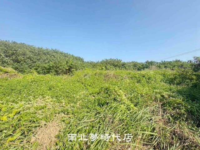 南區農地-1