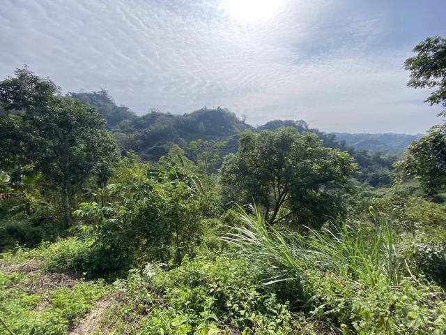 南投中寮農地-3