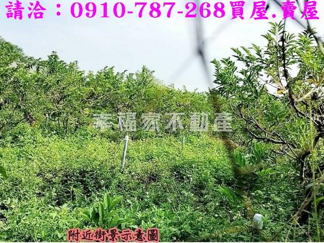 台南歸仁農地-4