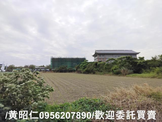 安定農地-3